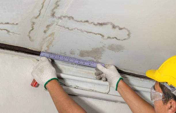 Reliable Mold Remediation contractor in Lake Bluff, IL by Water Damage Irwin